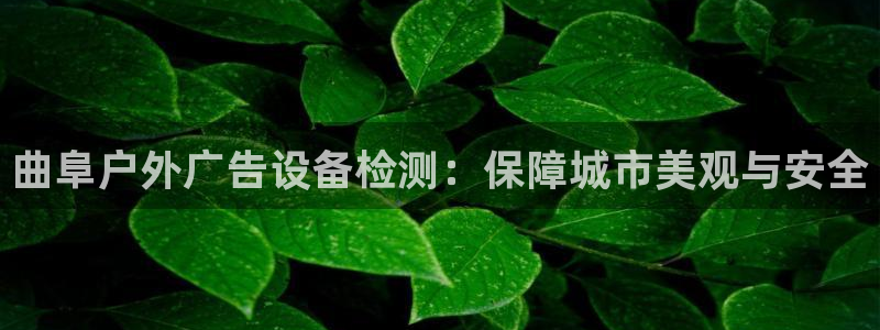 杏宇官方平台官网下载