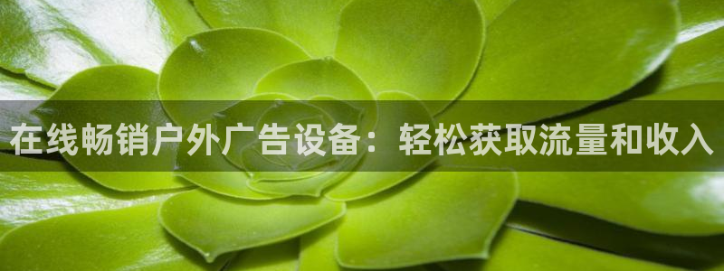 杏宇平台招商电话号码