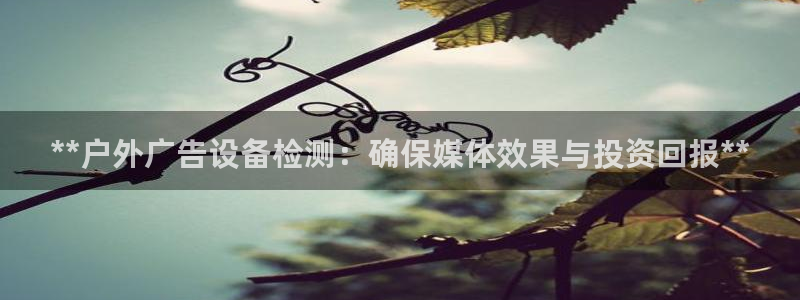 杏宇平台代理怎么赚钱的：**户外广告设备检测：确保媒体效果与投资回报**