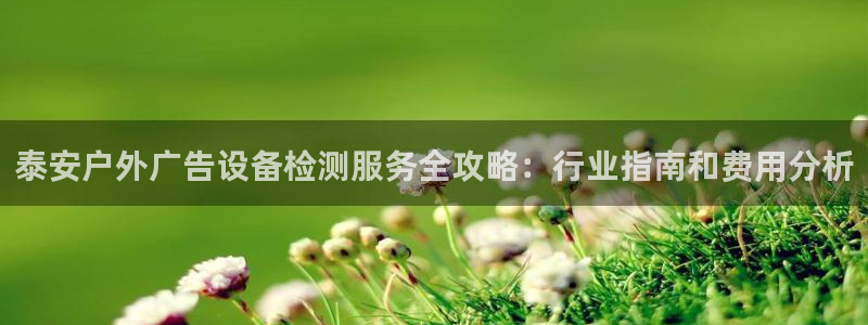 杏宇平台提现为什么这么久呢：泰安户外广告设备检测服务全攻略：行业指南和费用分析