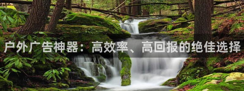 杏宇平台代理多少钱一个