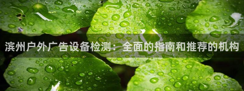 杏宇平台代理怎么赚钱的：滨州户外广告设备检测：全面的指南和推荐的机构