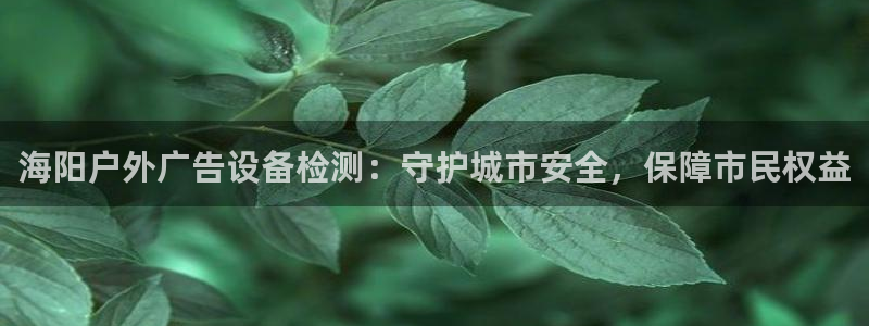杏宇平台注册登录