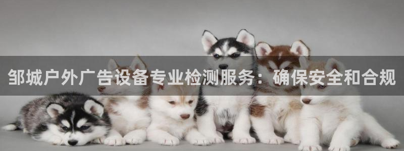 杏宇平台注册地址：邹城户外广告设备专业检测服务：确保安全和合规