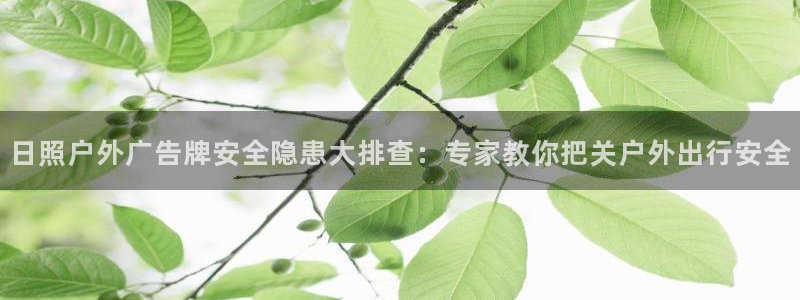 杏宇平台登录步骤
