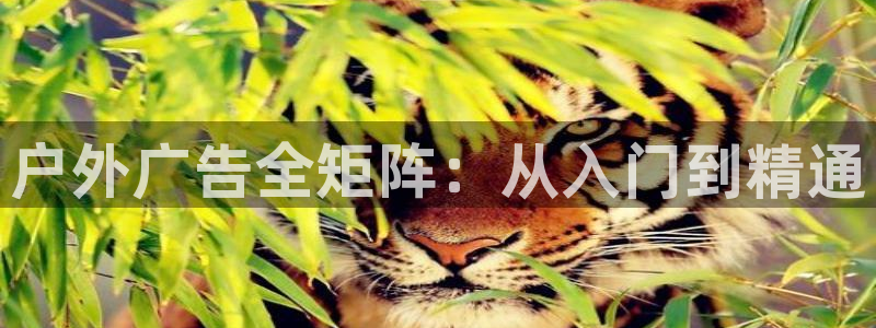 杏宇平台登录步骤