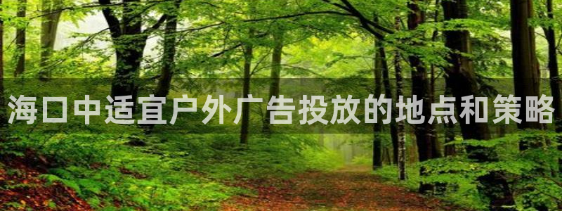 杏宇平台怎么样赚钱：海口中适宜户外广告投放的地点和策略