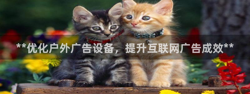 杏宇平台代理怎么样：**优化户外广告设备，提升互联网广告成效**