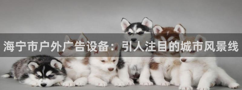 杏宇平台代理多少钱一个