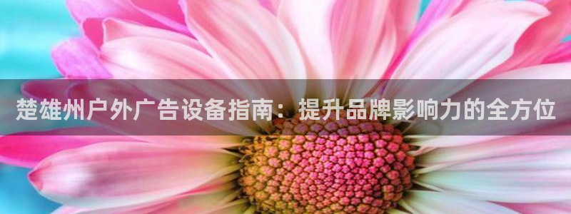 杏宇平台注册地址在哪里