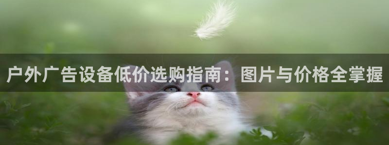 杏宇平台注册地址
