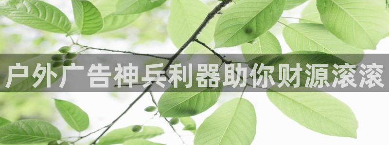 杏宇平台代理怎么样赚钱