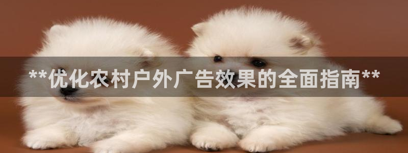 杏宇平台代理多少钱一个月：**优化农村户外广告效果的全面指南**