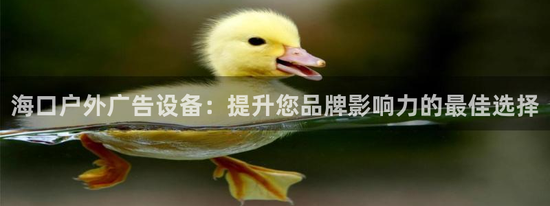杏宇官方平台官网入口：海口户外广告设备：提升您品牌影响力的最佳选择