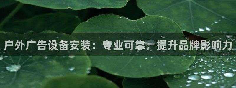 杏宇平台登录步骤是什么