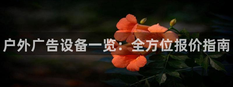 杏宇平台登录步骤是什么