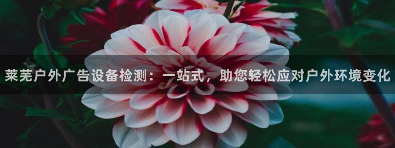 杏宇平台提现为什么这么久呢：莱芜户外广告