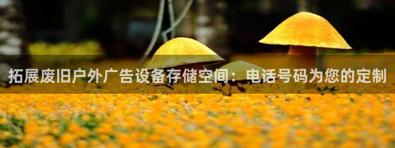 杏宇平台总代理电话