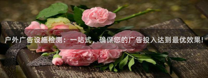 杏宇平台代理多少钱一个：户外广告设施检测：一站式，确保您的广告投入达到最优效果!