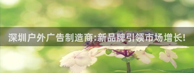 杏宇平台提现为什么这么久呢：深圳户外广告制造商:新品牌引领市场增长!
