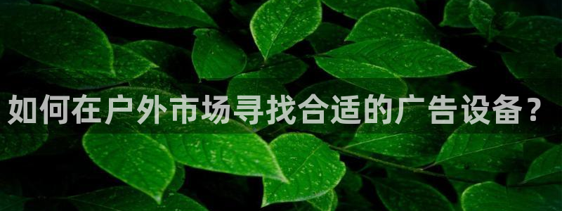 杏宇平台代理多少钱：如何在户外市场寻找合适的广告设备？