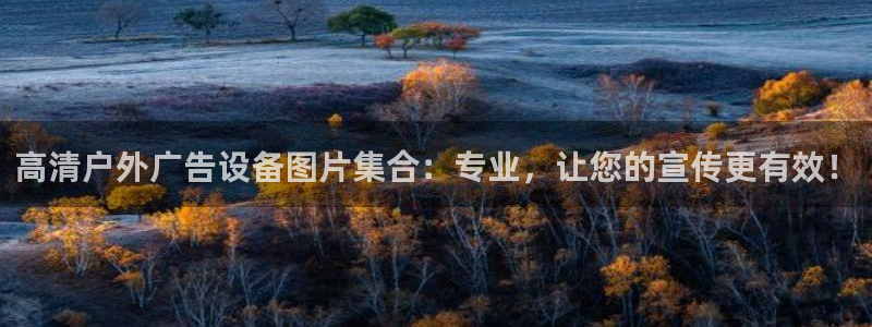 杏宇平台主管：高清户外广告设备图片集合：