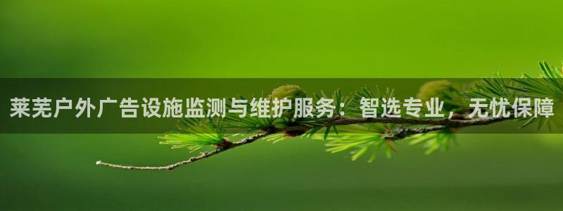 杏宇平台代理怎么赚钱：莱芜户外广告设施监