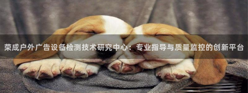 杏宇平台客服：荣成户外广告设备检测技术研究中心：专业指导与质量监控的创新平台