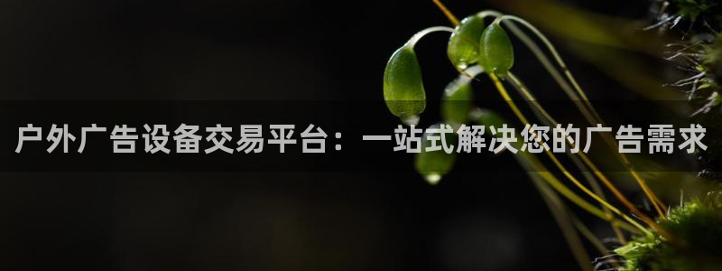 杏宇平台代理多少钱：户外广告设备交易平台：一站式解决您的广告需求