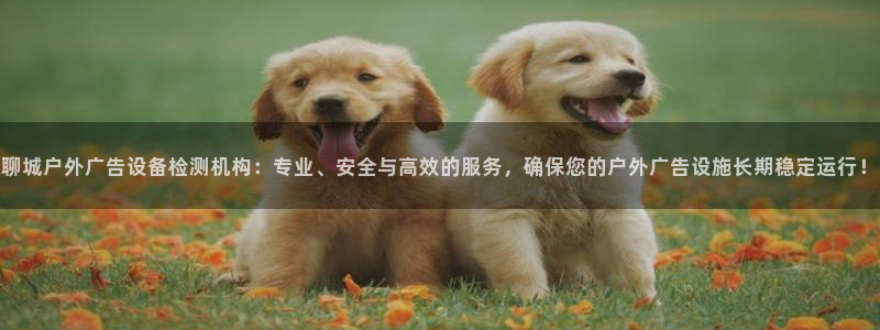 杏宇平台代理多少钱：聊城户外广告设备检测机构：专业、安全与高效的服务，确保您的户外广告设施长期稳定运行！