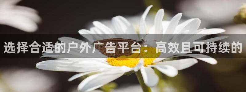 杏宇平台代理：选择合适的户外广告平台：高效且可持续的