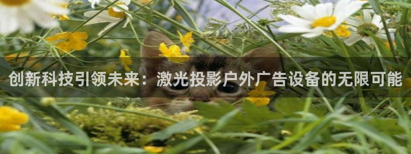 杏宇代理注册：创新科技引领未来：激光投影