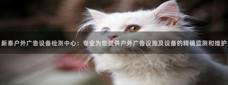 杏宇平台注册地址：新泰户外广告设备检测中
