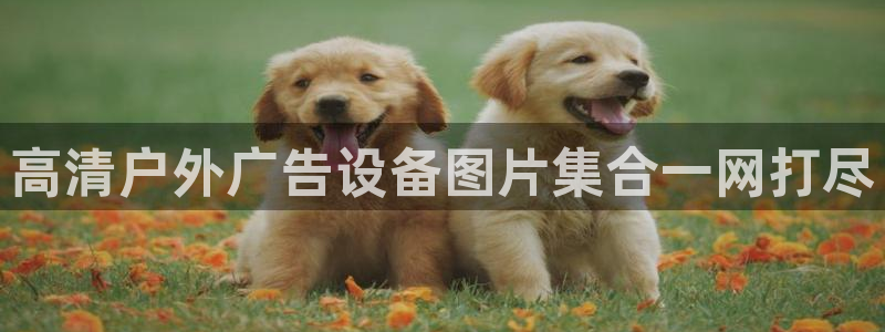 杏宇平台好吗：高清户外广告设备图片集合一