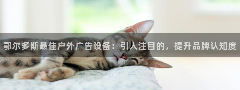 杏宇平台注册地址：鄂尔多斯最佳户外广告设