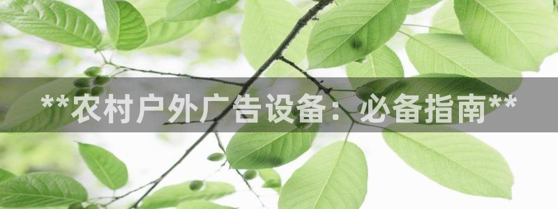 杏宇平台代理怎么样赚钱：**农村户外广告设备：必备指南**