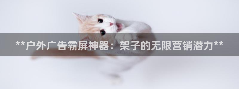 杏宇平台代理：**户外广告霸屏神器：架子的无限营销潜力**