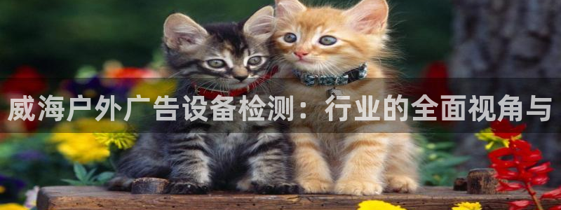 杏宇平台测速链接：威海户外广告设备检测：行业的全面视角与
