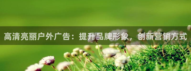 杏宇平台代理多少钱一个月：高清亮丽户外广告：提升品牌形象，创新营销方式