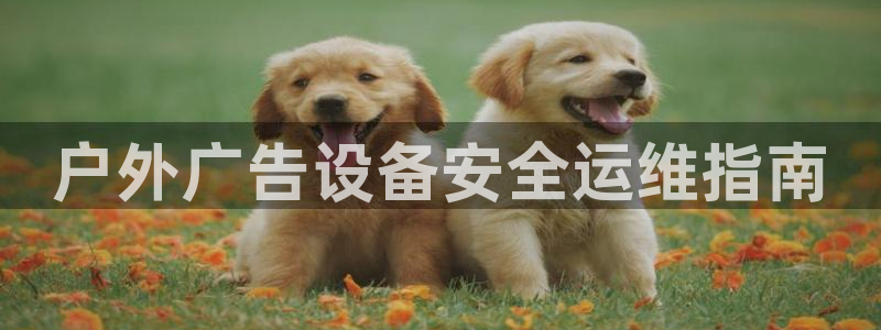 杏宇平台注册登录