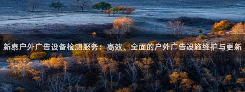 杏宇平台总代理电话：新泰户外广告设备检测服务：高效、全面的户外广告设施维护与更新