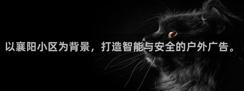 杏宇平台是什么：以襄阳小区为背景，打造智