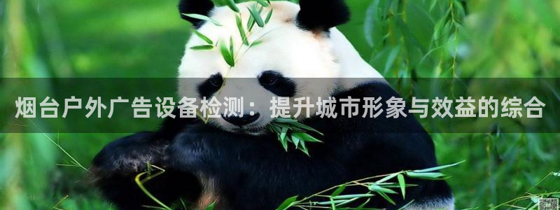 杏宇平台官网注册：烟台户外广告设备检测：提升城市形象与效益的综合